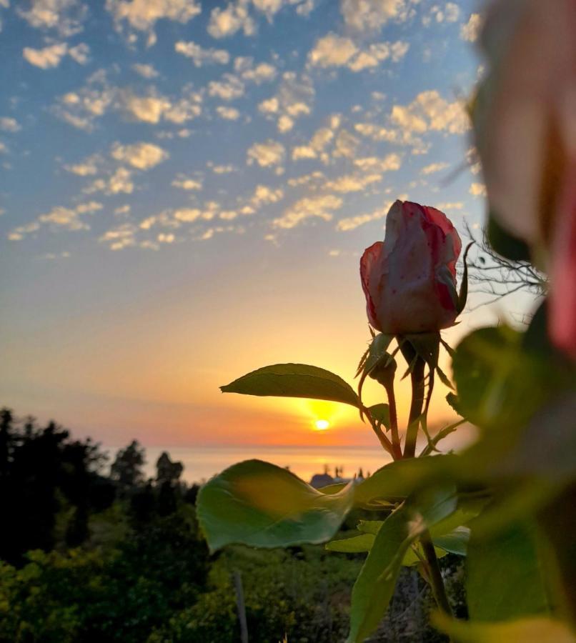 Kemeni Garden Otel Batum Dış mekan fotoğraf