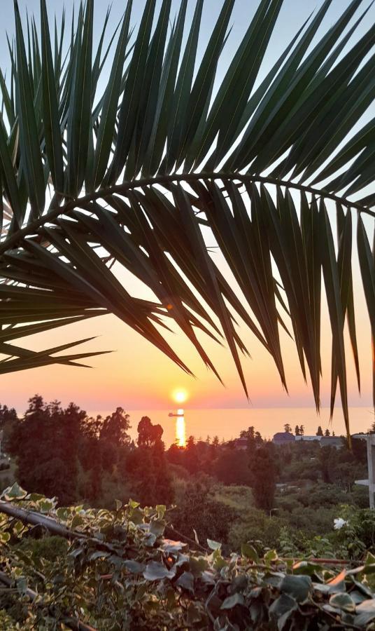 Kemeni Garden Otel Batum Dış mekan fotoğraf